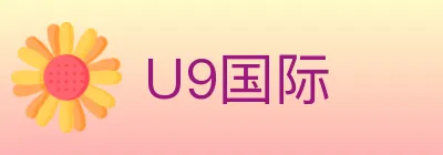 U9国际 Logo